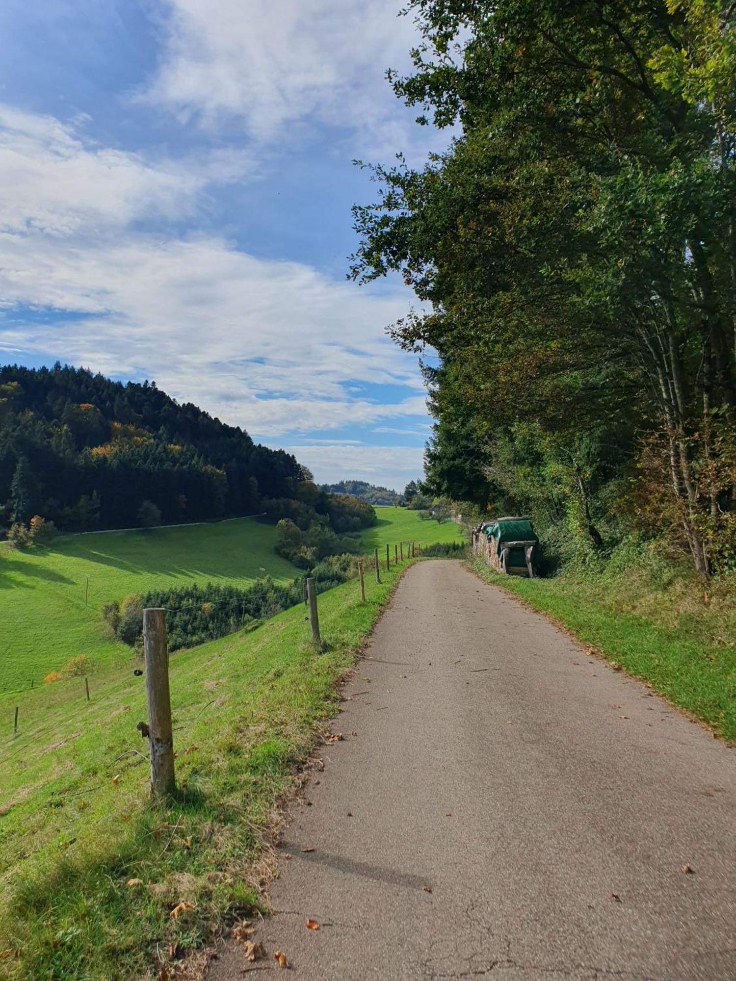 Am Siegelbaechle -2 Mit E-Bikes Vermietung Siegelau Exterior foto